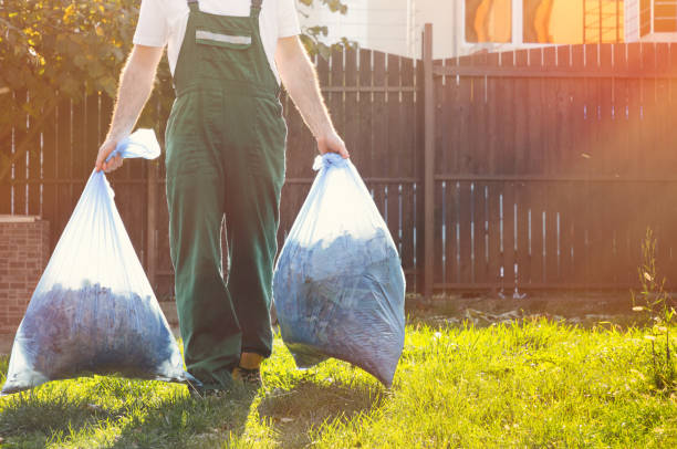 Best Attic Cleanout Services  in Pine Valley, CA